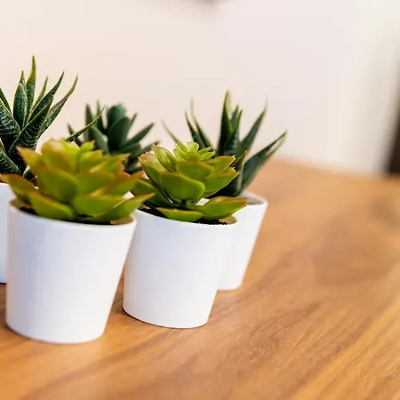 Apartment Re Sole Alassio